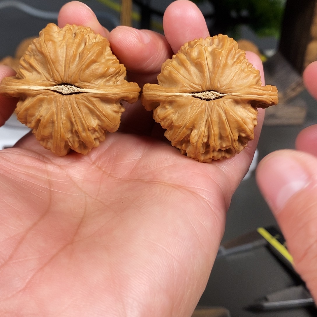 把件文玩核桃闷白红皮老树白狮子骨质超棒