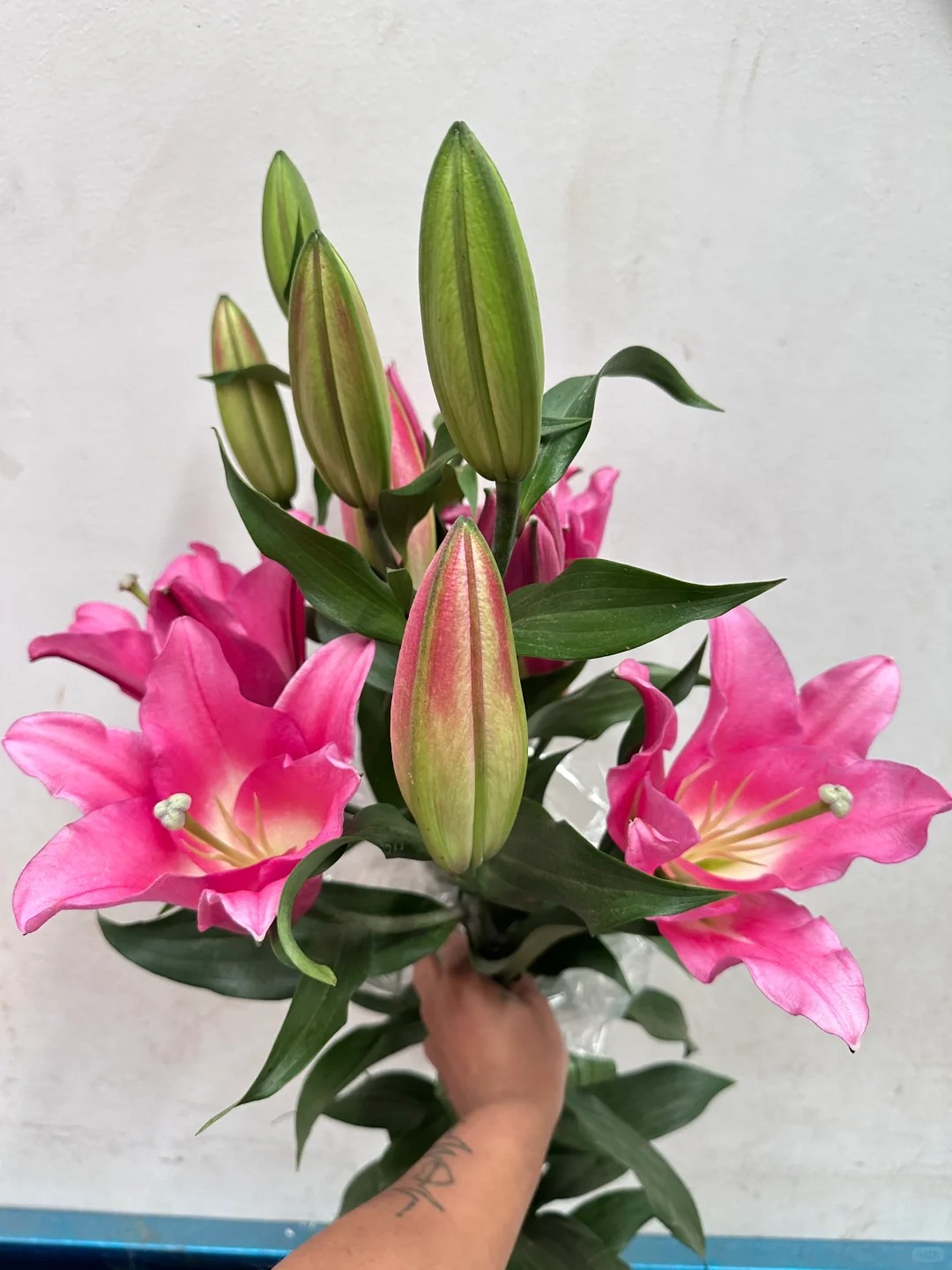 （云南鲜花玫瑰百合）芭蕾特4枝保8个花苞，一单包邮，两单升级冷链！