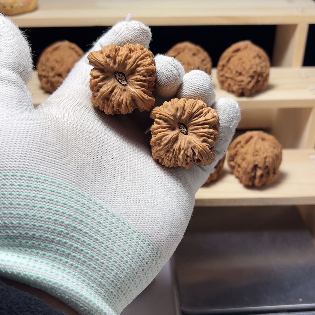 文玩核桃把件五**韵涿鹿南将凹底