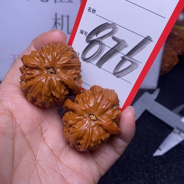 文玩核桃把件876，36白狮子