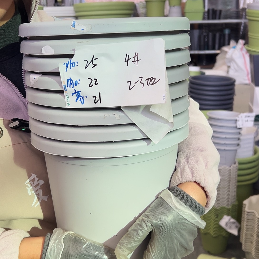 四季盆4#灰白色8个无托