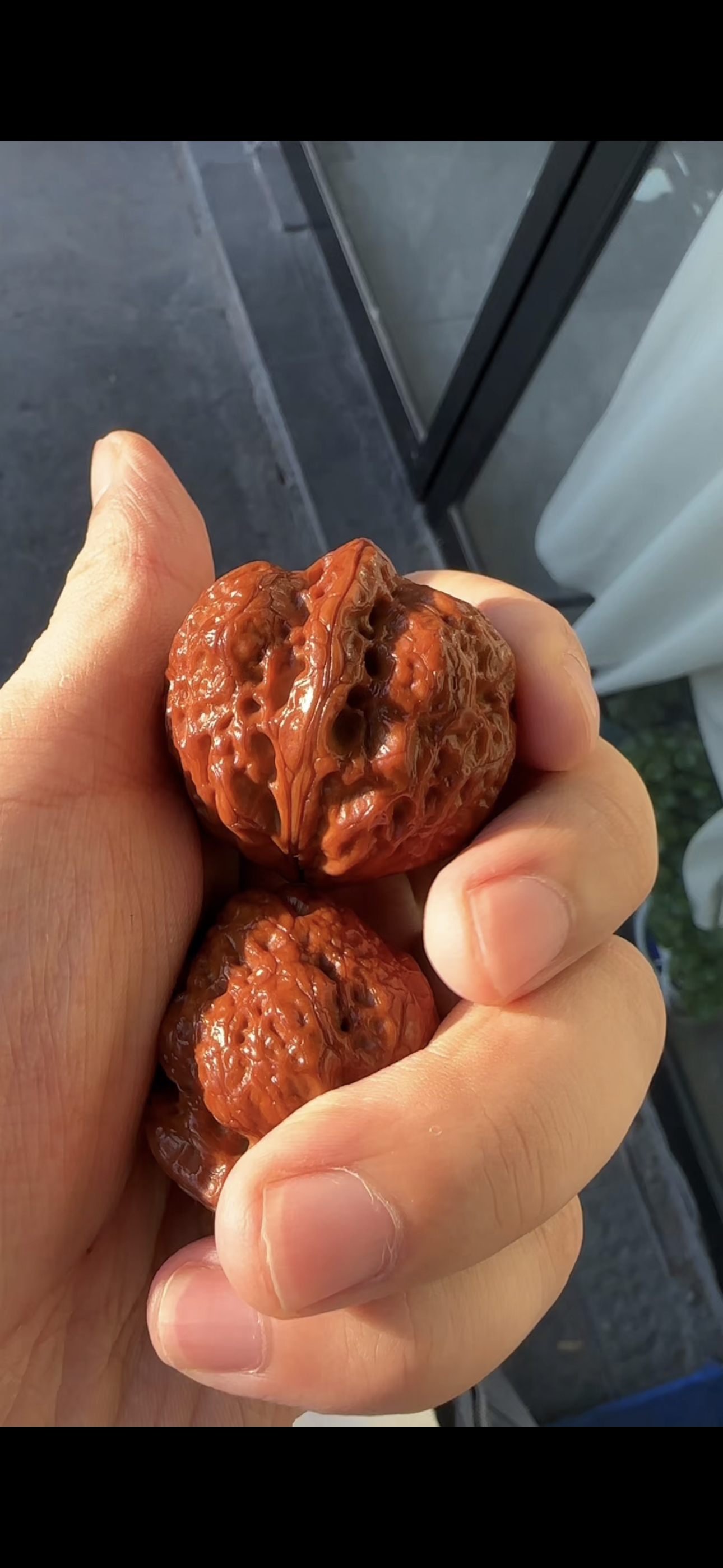 云南铁核桃专拍链接！与主播沟通好再拍！