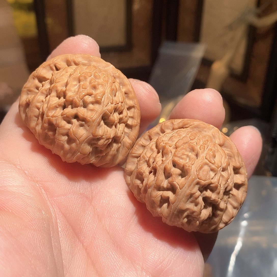 文玩核桃把件42白狮子全品