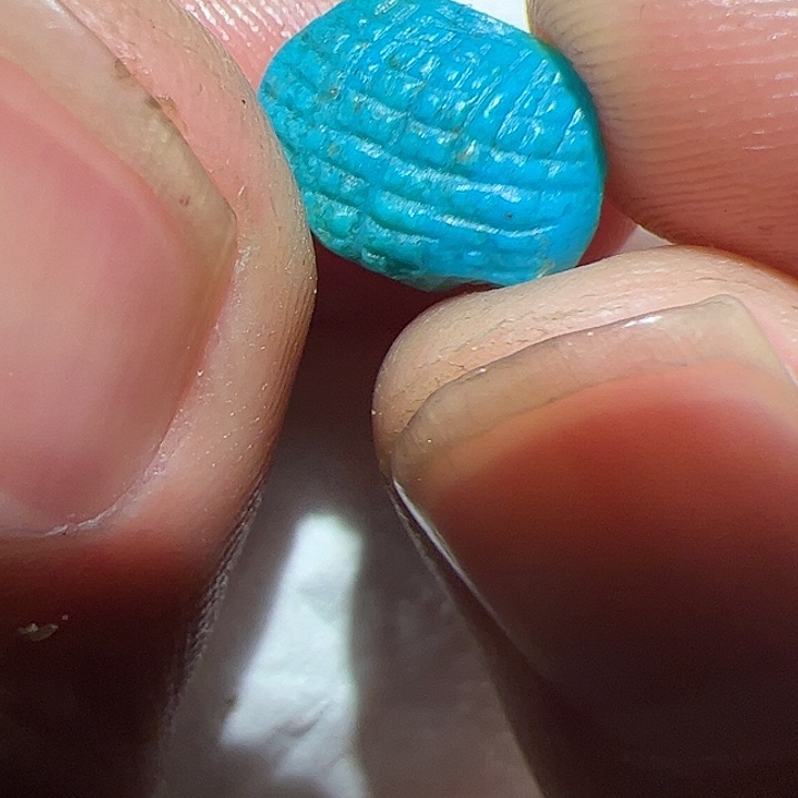 香榧木在这里的人