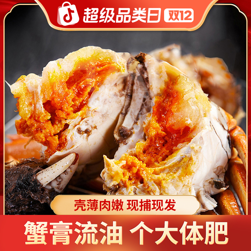 双12【活蟹】5.5-5.2两半斤全大公蟹 买8只送2只到手10只装  包邮