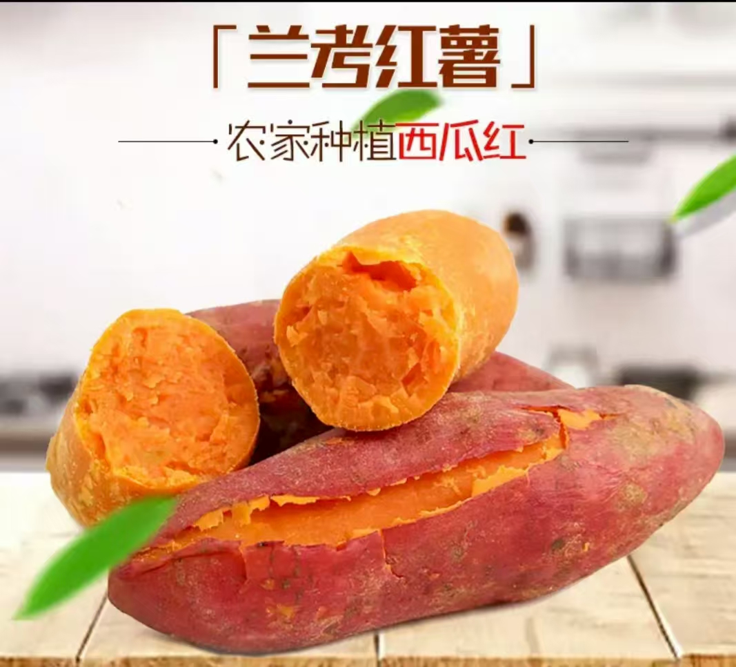 兰考农彩将哈密小果