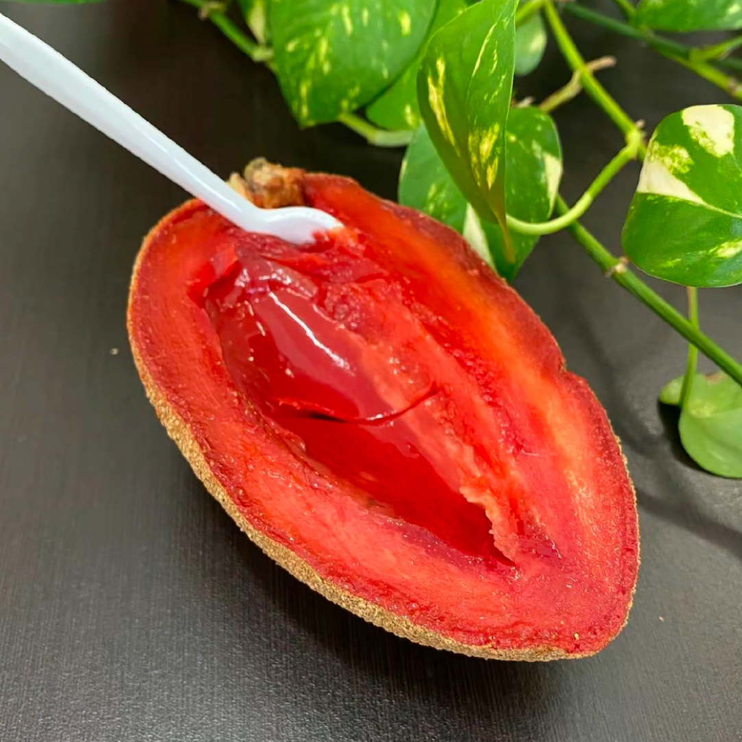 妈咪果（马加纳品种）带花苞