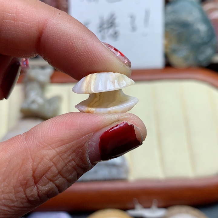 硅化珊瑚（珊瑚玉）颈饰未镶嵌