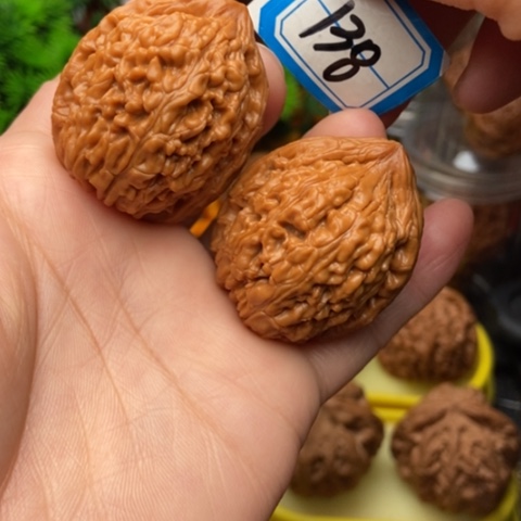 文玩核桃吊坠蚂蚁王36