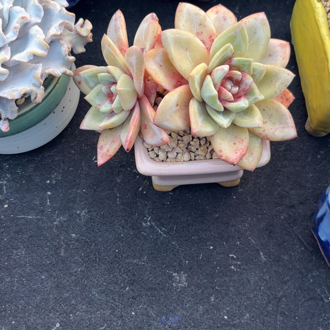 11111111111111111111