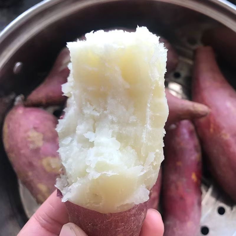 25年现挖新鲜白心红薯干面粉糯老品种番薯烤地瓜白瓤山芋5斤9斤