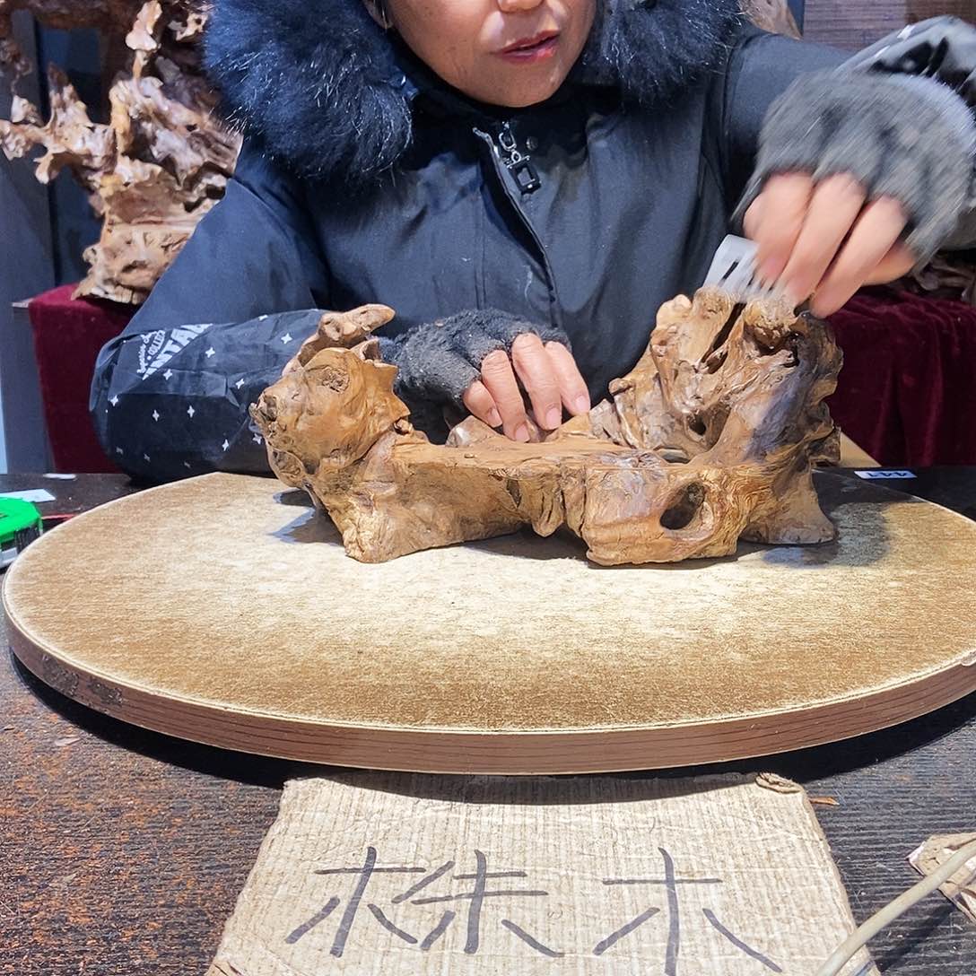 乃***奶738。株木随行根艺