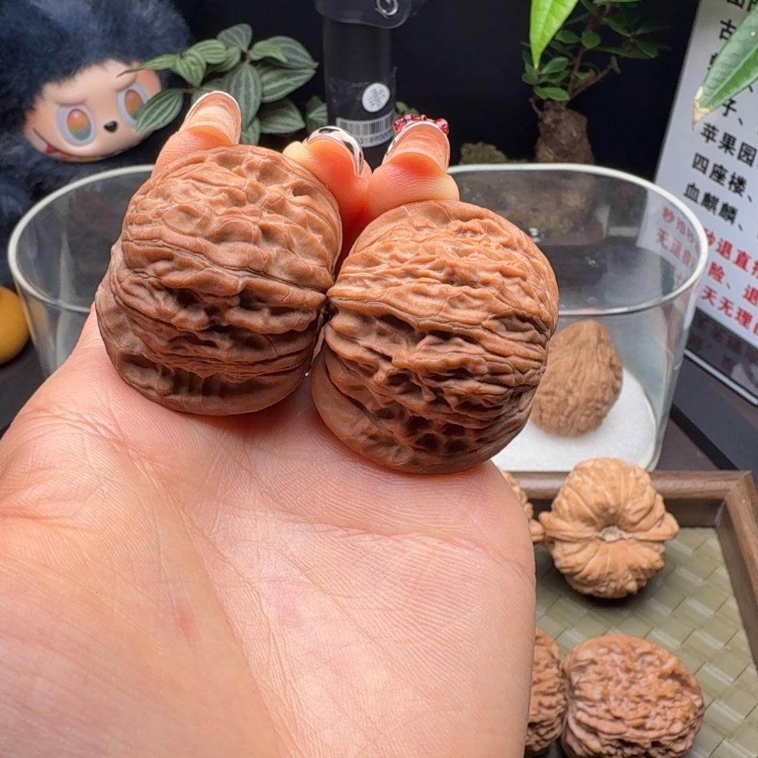 核桃全品血磨39尺