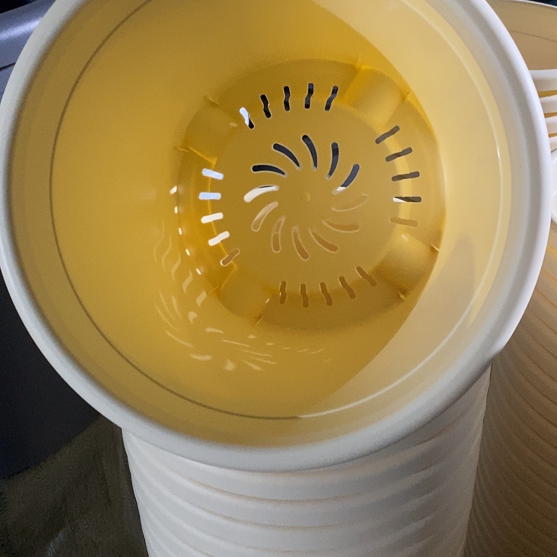 四季5号5个无拖米黄