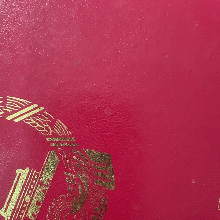 左***生杂色豆（科檀/科特迪瓦檀木）