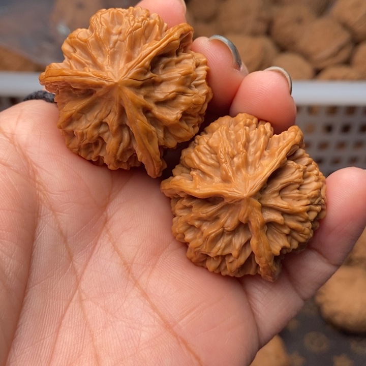 文玩核桃把件野生帝王三棱38 