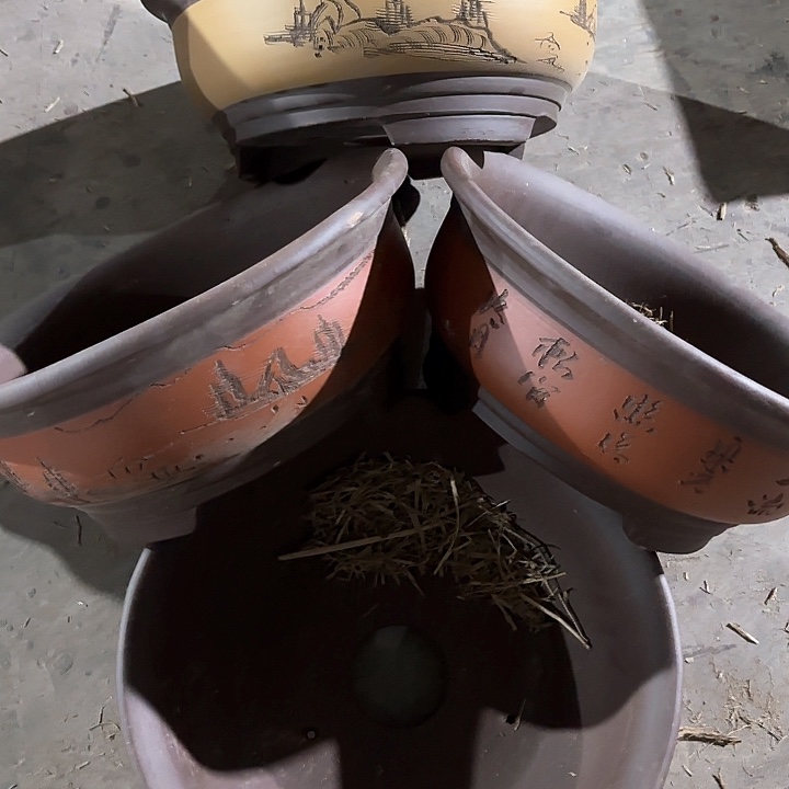 紫砂花盆100-4。32-13