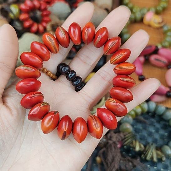 @***@红木鱼果菩提直播间选款不退换