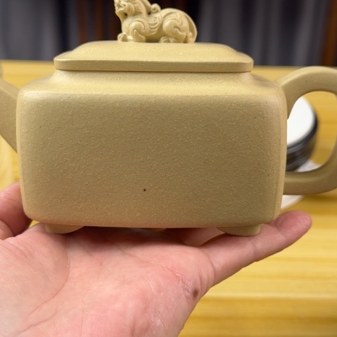 紫砂茶壶g*密密麻麻