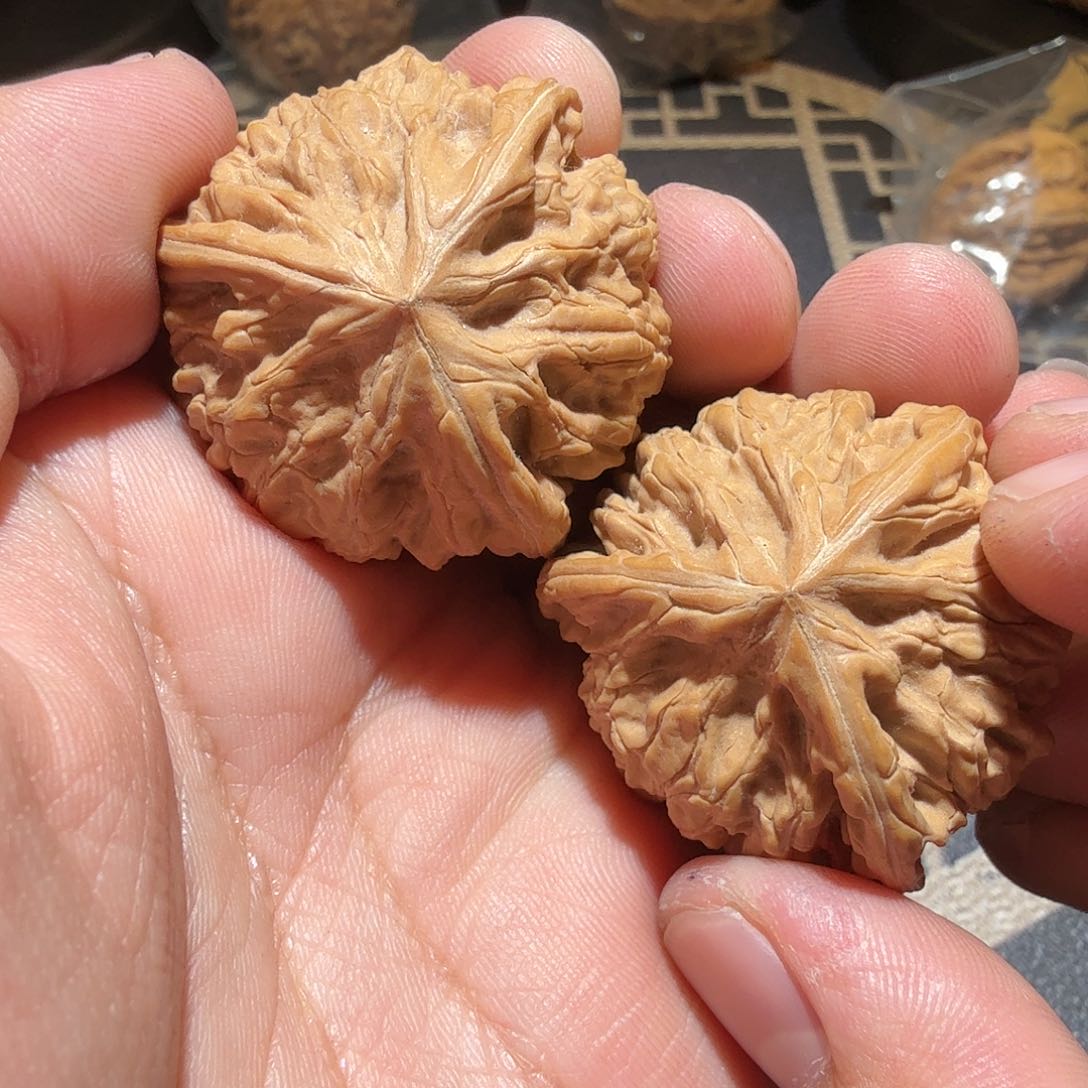 文玩核桃把件御龙正奔