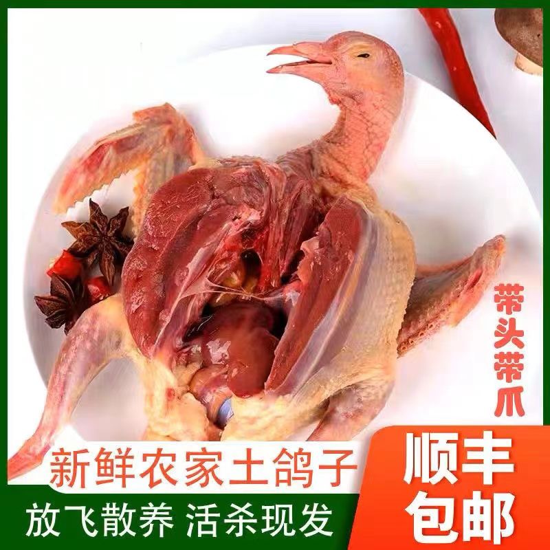到手5只农家散养土鸽子现宰现杀鸽肉
