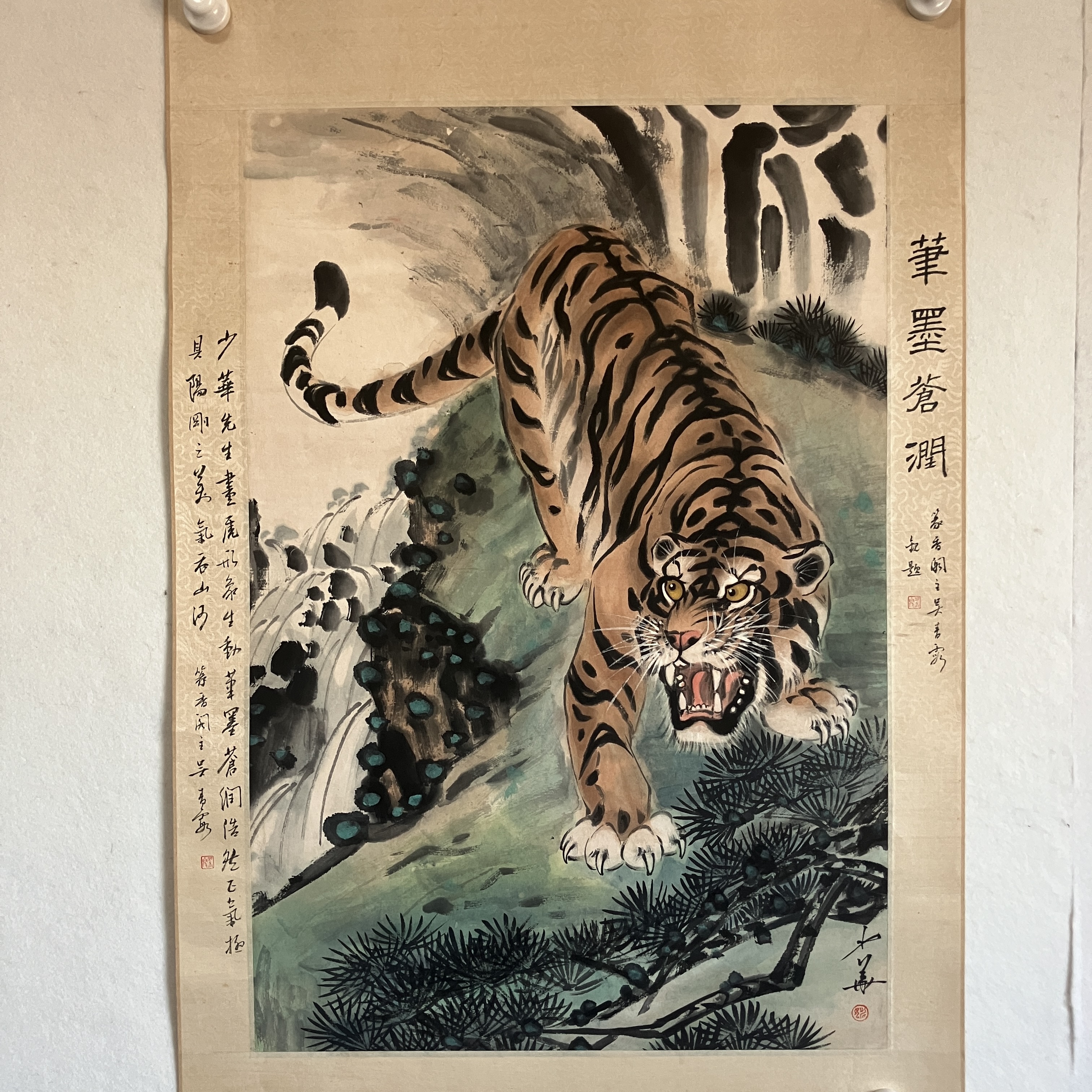 ZX100  虎  纸本设色镜片 71×48cm
