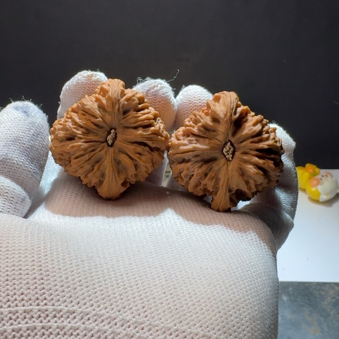 驭***风把件文玩核桃10号链接拉丝天残奶嘴高炮