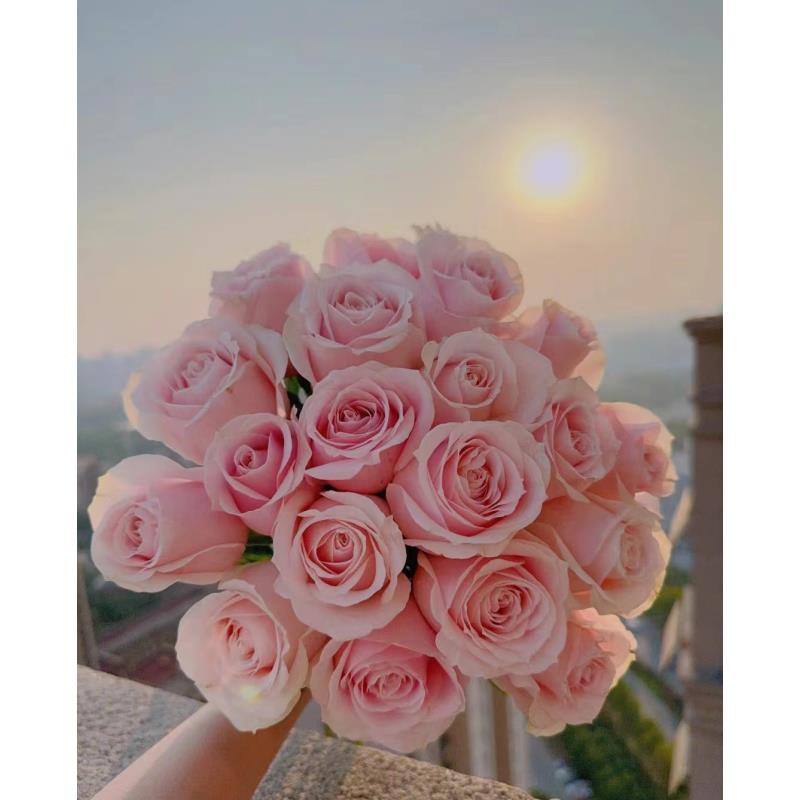 粉红雪山10支鲜花全场任意两单顺丰/京东