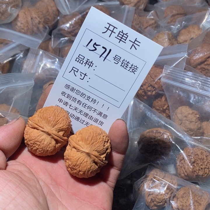 文玩核桃把件1571号旅途咯哦哦