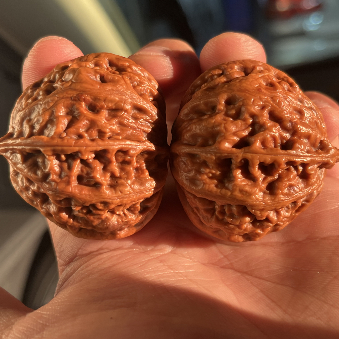 楸核桃直播间专属链接私拍随机发8