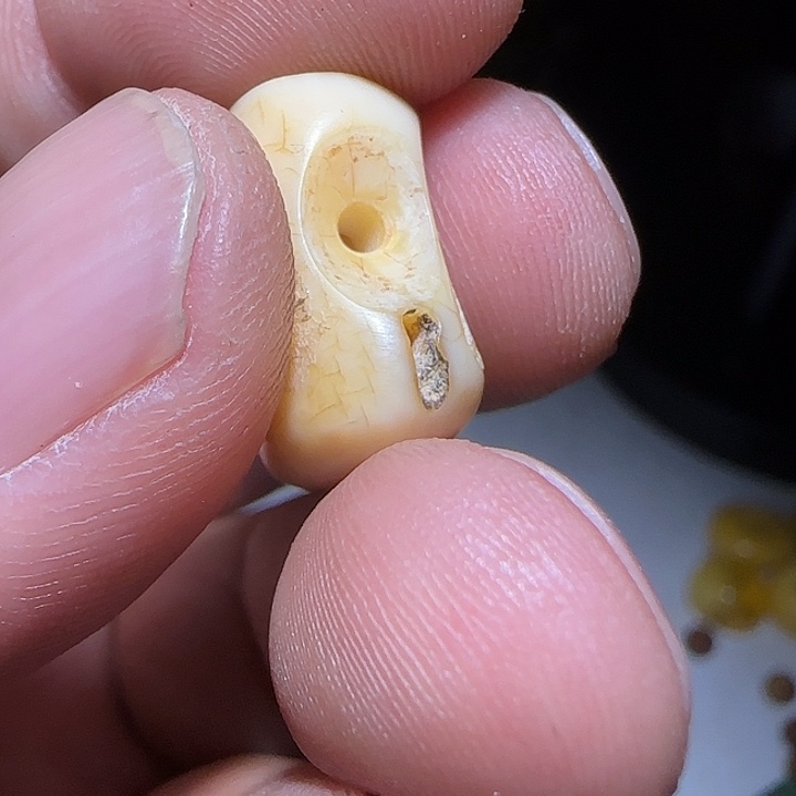 藏区老高白三痛漂亮