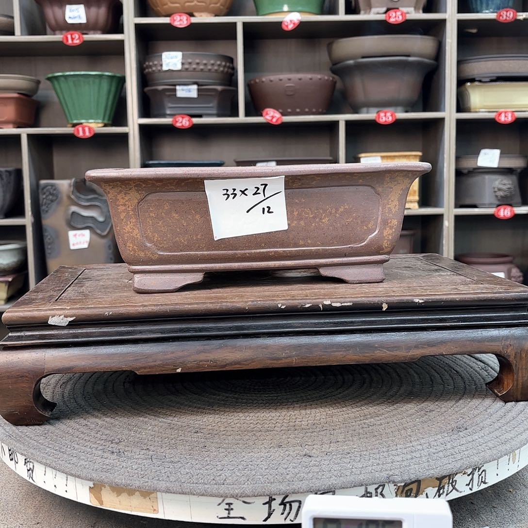 紫砂花盆紫砂的花也太