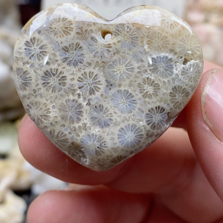 颈饰未镶嵌硅化珊瑚（珊瑚玉）有瑕