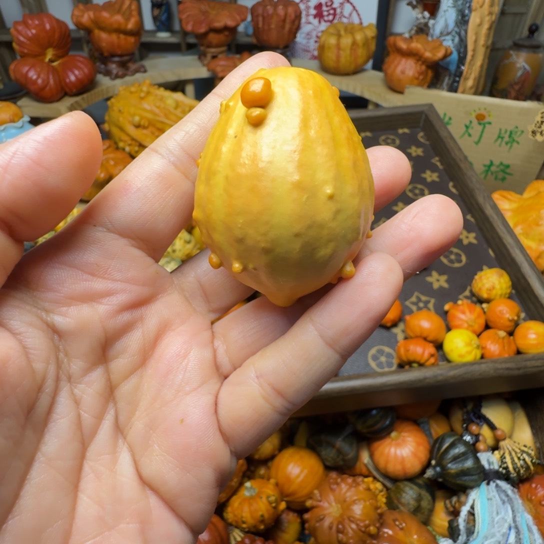 金***子特价葫芦不退不换