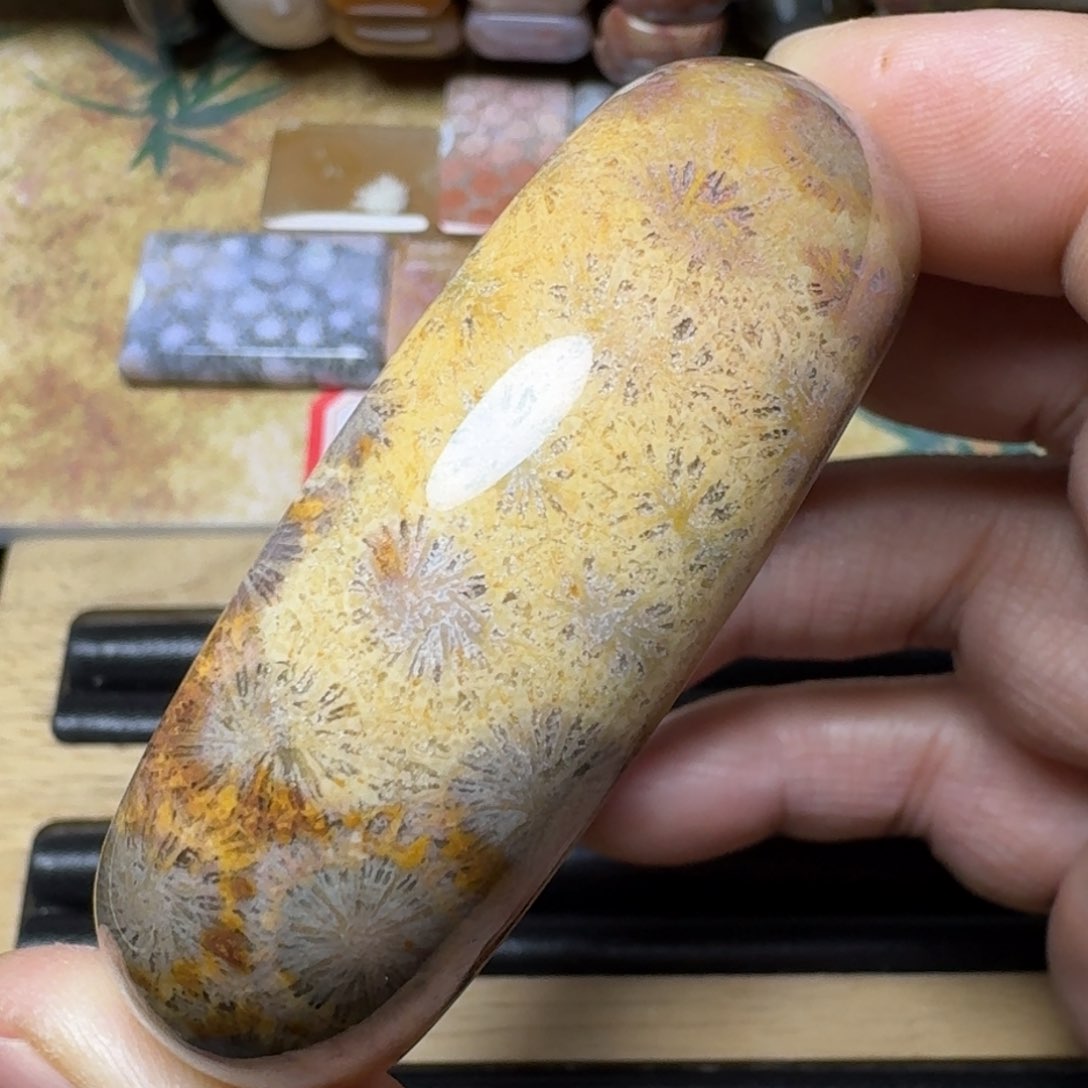 硅化玉纯天然有机玉石保真色未镶嵌