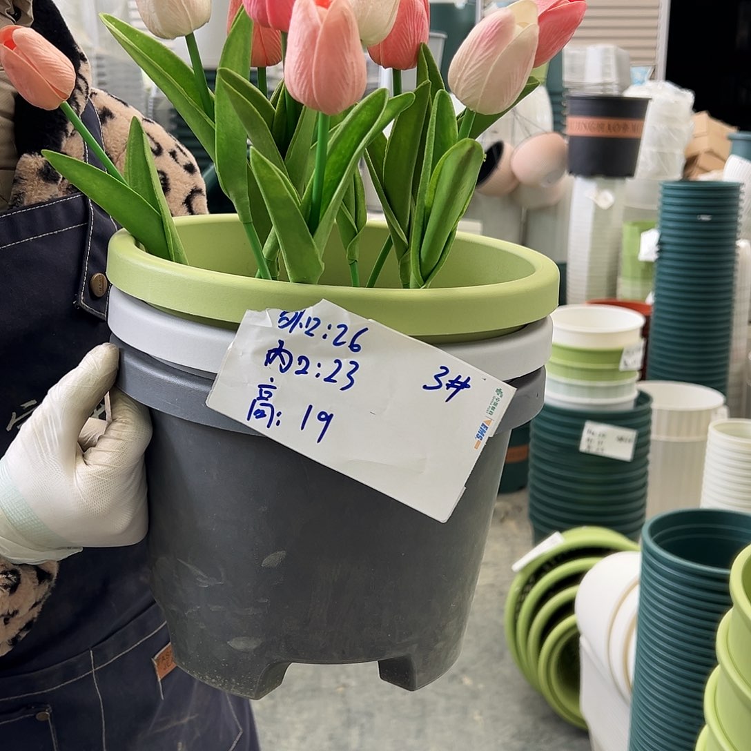 球根盆3#果绿5个无托