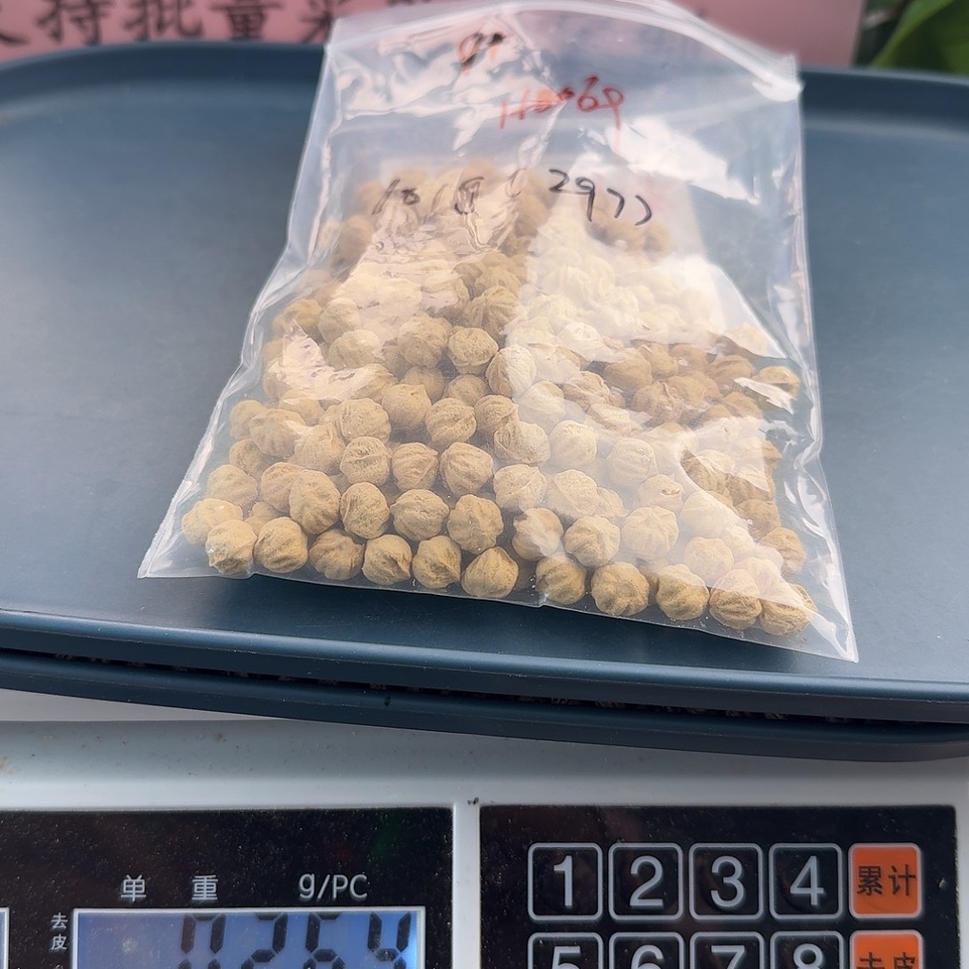 自****吊坠柏香籽/百香籽101克9+H8069