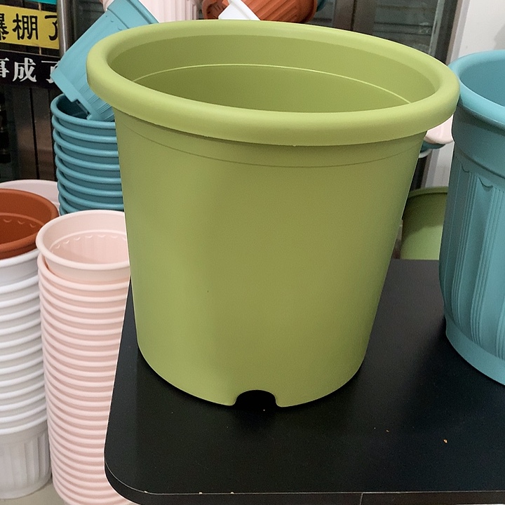 四季口32高29果绿3个无托