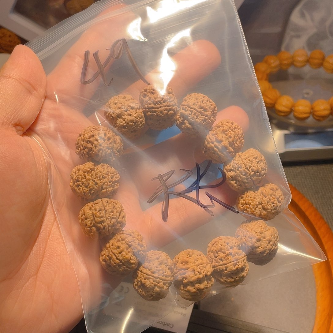 手串金刚菩提天***！蜂王