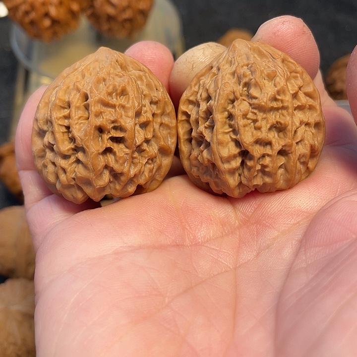 文玩核桃把件野牛