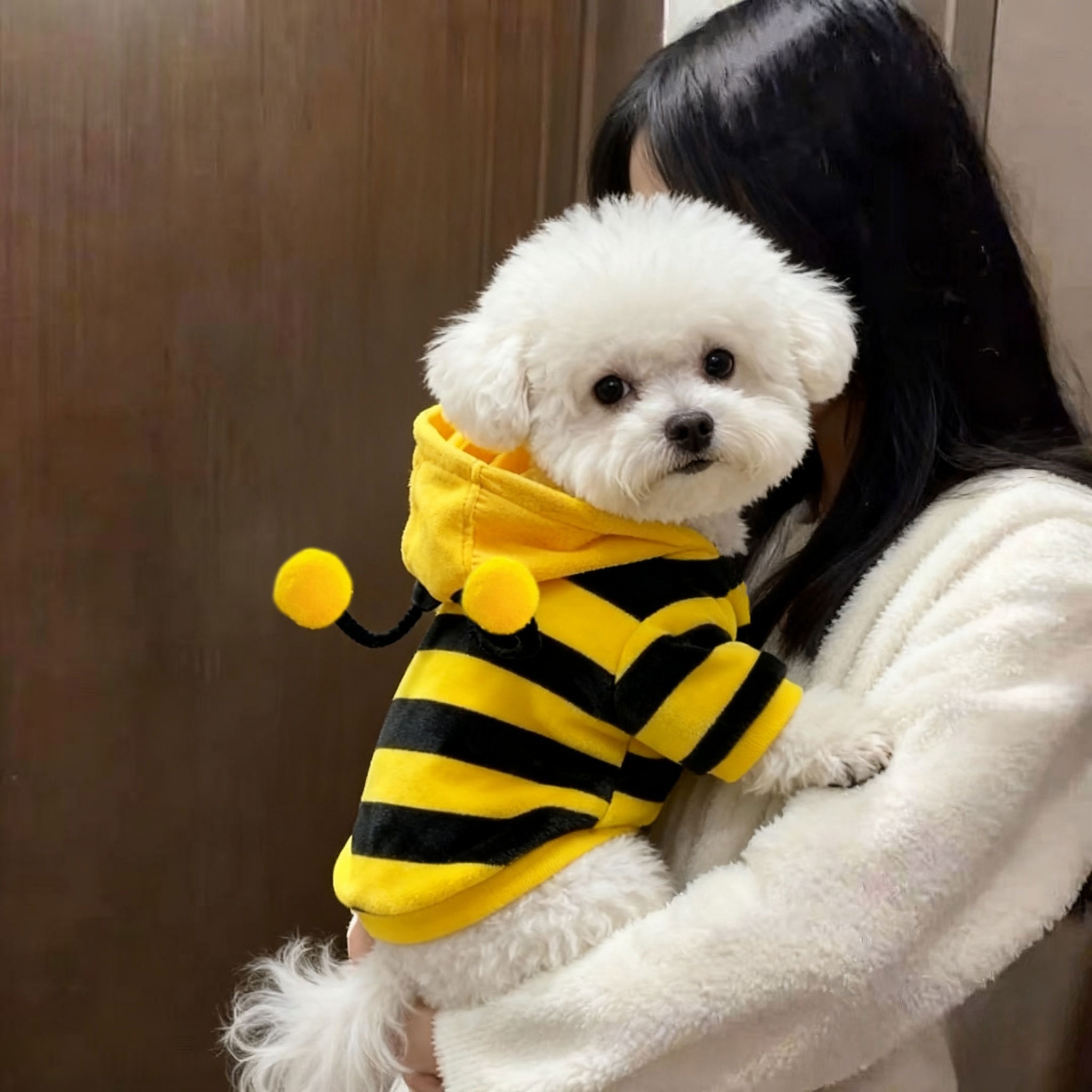 搞怪小蜜蜂狗狗衣服秋冬保暖可爱卫衣比熊泰迪小型犬宠物猫咪衣服