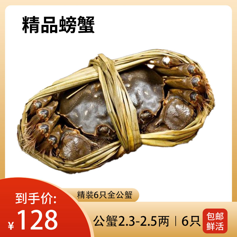 【活蟹现发】江苏精品螃蟹【全公2.3-2.5两】6-8只公装