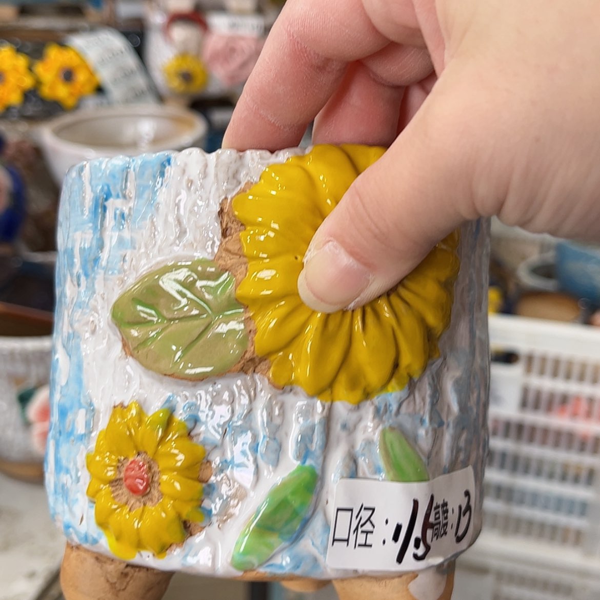 【闪购商品】红陶福利