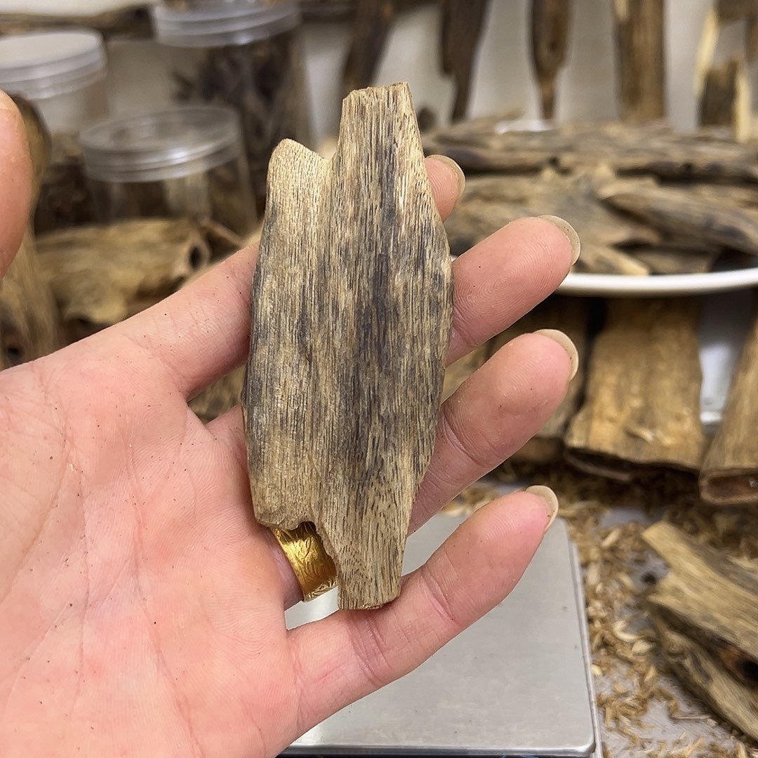 奇楠精勾干料16克➕