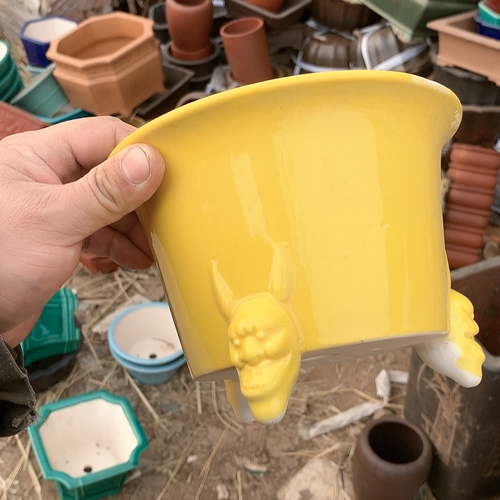 紫砂淘宝上所有优惠券是我想