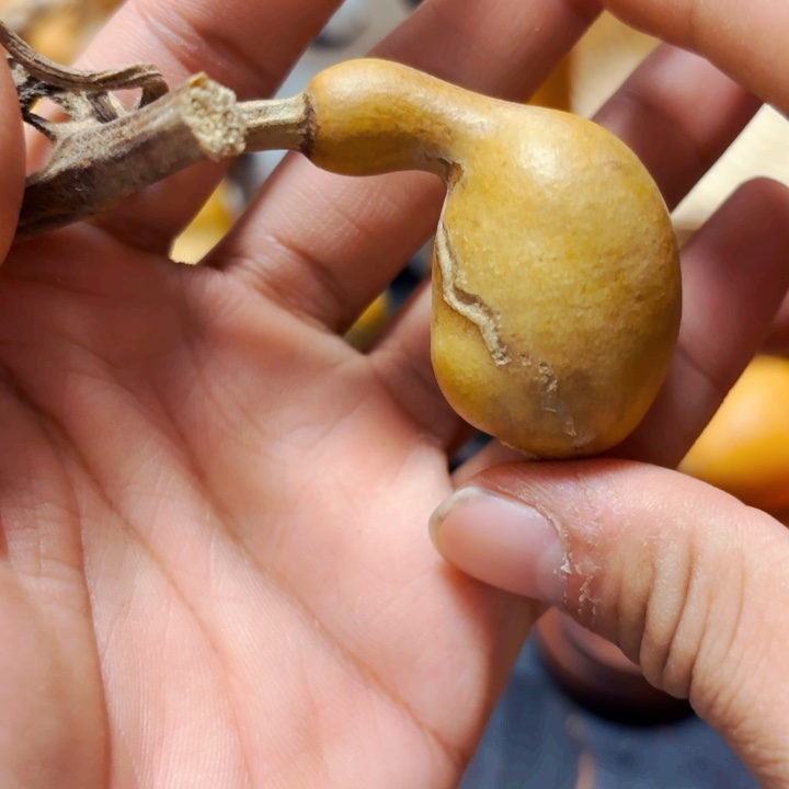 土*?88888888888888888