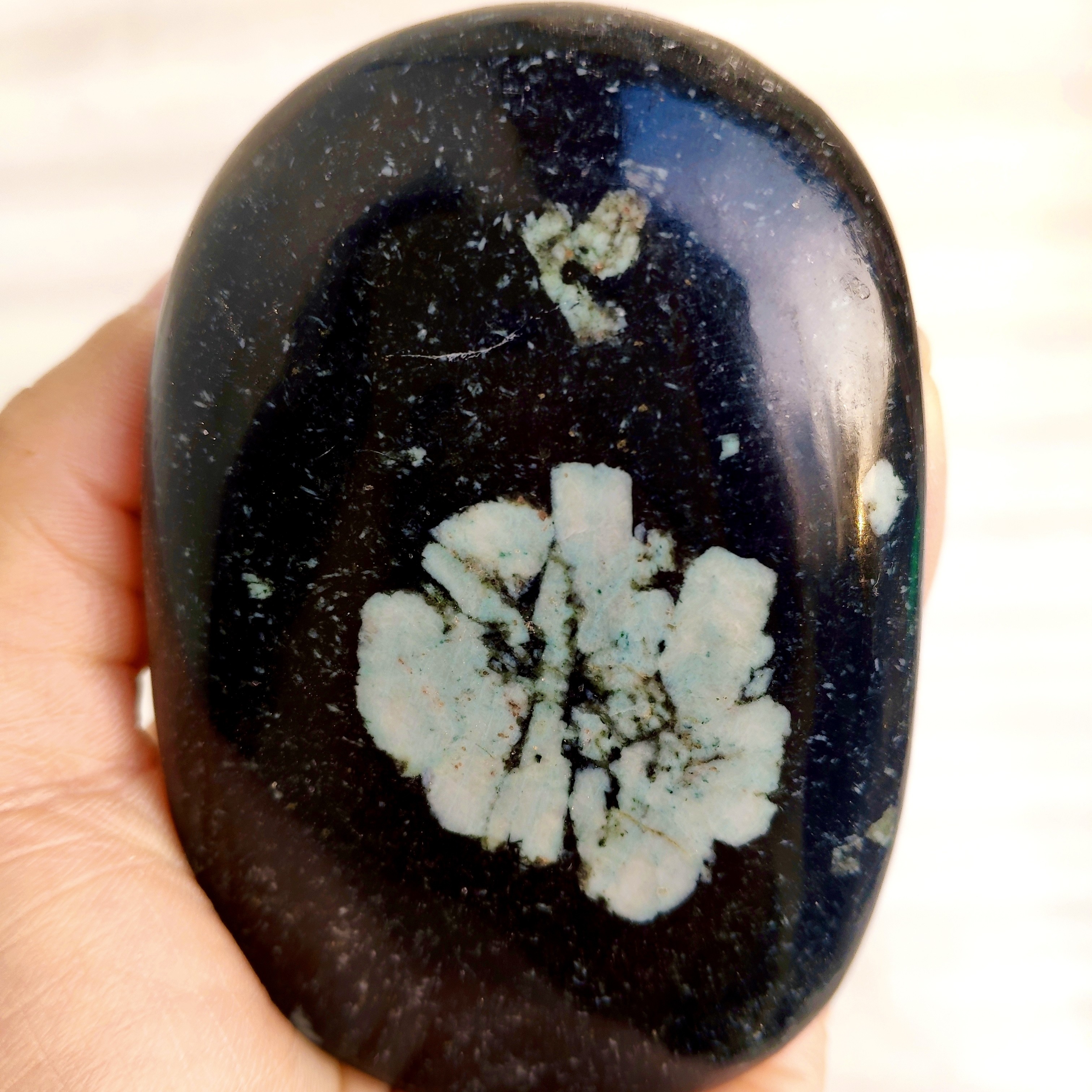 小石头小原石 洛阳牡丹石天然奇石！