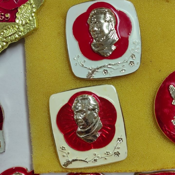 其他普通金属~****~纪念章