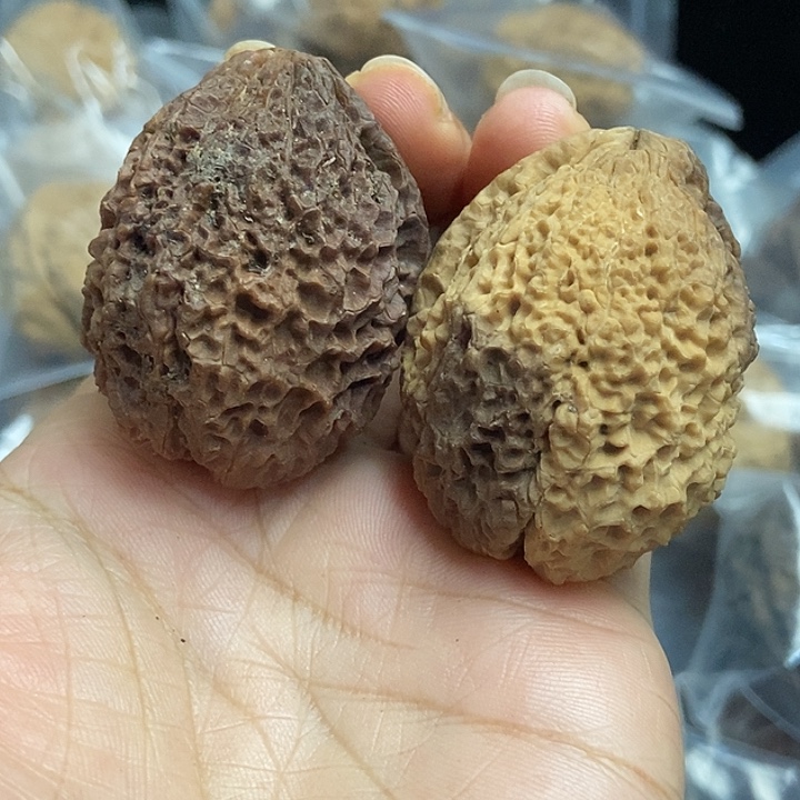 把件文玩核桃云南铁核桃基地2