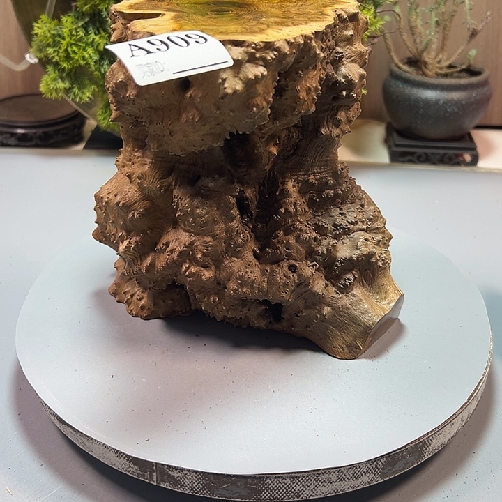 德***贵大果紫檀（缅甸花梨）